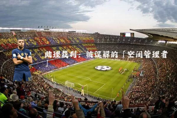助理裁判:被误解的「空间管理者」